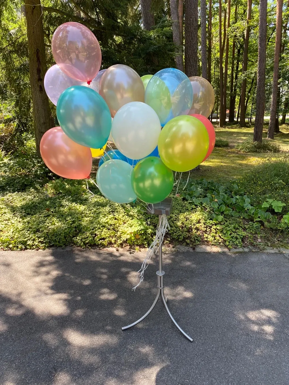 Bunte Luftballons auf einem Ständer an einem sonnigen Weg im Wald.
